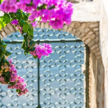 Bed & Breakfast Boutique Carmen